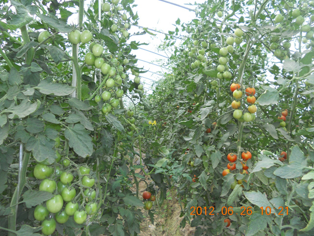 實(shí)驗(yàn)基地