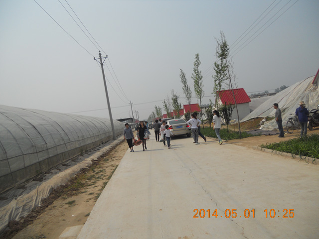 有機(jī)采摘園