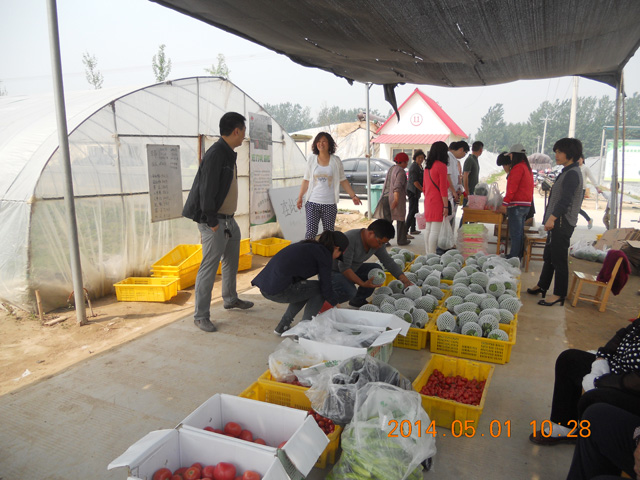 有機(jī)果蔬采摘園